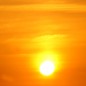 Summer News